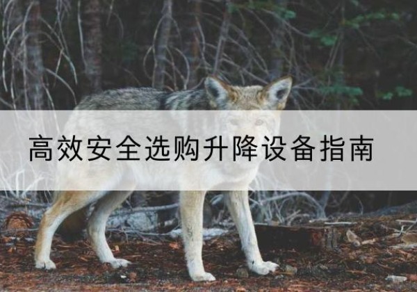 达孜升降货梯厂家推荐-*安全选购升降设备指南