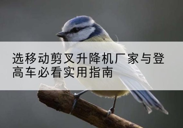 达孜电动升降机厂家-选移动剪叉升降机厂家与登高车必看实用指南
