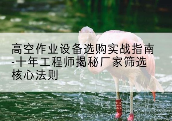 达孜剪叉式升降机厂家-高空作业设备选购实战指南-十年工程师揭秘厂家筛选核心法则